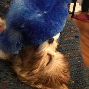 Meet your Posher, Madison